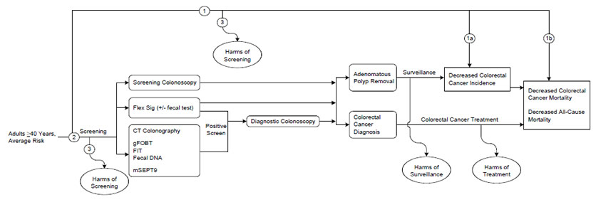 Figure  1 is the proposed analytic framework, which depicts the 3 key questions for the systematic review. Key question 1 addresses the effectiveness of colorectal cancer screening programs in reducing the incidence of colorectal cancer and/or mortality from colorectal cancer. Key question 2 addresses the individual test performance characteristics of each of the screening modalities for the detection of colorectal cancer and/or adenomas. The screening modalities include the following tests: colonoscopy, flexible sigmoidoscopy, computed tomography colonography, fecal screening tests (such as high-sensitivity guaiac fecal occult blood test, fecal immunochemical test, fecal DNA tests), and the circulating methylated septin 9 DNA blood test. Key question 3 addresses the adverse effects of colorectal cancer screening programs and of the individual screening modalities.