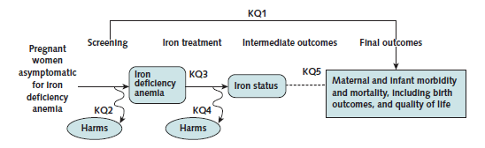 Evidence Summary Iron Deficiency Anemia In Pregnant Women Screening And Supplementation Us 2595