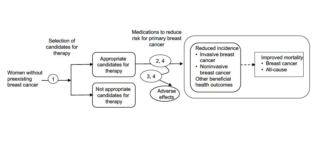 Figure 1 is a flow diagram of selection of candidates for medications to reduce the risk for primary breast cancer. Women without preexisting breast cancer are screened and sorted into either appropriate or inappropriate candidates for therapy. Women who are appropriate candidates for therapy receive medications to reduce the risk for primary breast cancer. Women may experience adverse effects due to these medications. Women who are treated with these medications may have reduced incidence of invasive or noninvasive breast cancer, which may lead to improved breast cancer-related mortality and all-cause mortality.