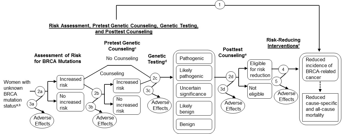 Figure 1 is a flow diagram of risk assessment, genetic counseling, and genetic testing. Women with unknown BRCA mutation status, including women who have a previous diagnosis of breast or ovarian cancer but have completed treatment, are assessed for BRCA mutation risk. These women may experience adverse effects as they are determined to have either no increased risk or increased risk for BRCA mutations. Women with an increased risk are referred for genetic counseling, during which they may experience adverse effects. Following genetic counseling, women are determined to have either no increased risk or increased risk for BRCA mutations. Women with an increased risk are referred for genetic testing, during which they may experience adverse effects. Women with increased risk for BRCA mutations may be referred directly to genetic testing, with no genetic counseling prior to testing. Testing may be done on the index patient, a relative with cancer, or a relative with highest risk, as appropriate. Women who undergo genetic testing may have benign results or likely benign, or they may have a result that is pathogenic, likely pathogenic, or of uncertain significance. Women may undergo posttest counseling, which includes interpretation of results, determination of eligibility for risk-reducing interventions, and patient decisionmaking. Women eligible for risk reduction may be referred for interventions, which may include increased early detection through intensive screening (earlier and more frequent mammography, breast MRI), risk-reducing medications (aromatase inhibitors, tamoxifen), and risk-reducing surgery (mastectomy, salpingo-oophorectomy). Women who undergo interventions may experience adverse effects. Women who undergo interventions may also have reduced incidence of BRCA-related cancer and reduced cause-specific and all-cause mortality.