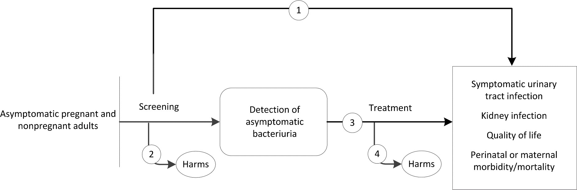 Figure 1 is the analytic framework that depicts the four Key Questions to be addressed in the systematic review. The figure illustrates how screening asymptomatic pregnant and nonpregant adults may result in reducing the incidence of symptomatic urinary tract infection, kidney infection, and perinatal/maternal morbidity or mortality, as well as improving quality of life (KQ1). Once detected, the figure shows how treatment of asymptomatic bacteriuria may result in improved health outcomes (KQ3). Further, the figure illustrates whether screening for and treatment of asymptomatic bacteriuria are associated with any adverse events (KQ2, KQ4).