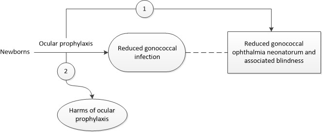 Figure 1 is the analytic framework that depicts the two Key Questions to be addressed in the systematic review. The figure illustrates how ocular prophylaxis for gonococcal ophthalmia neonatorum may result in improved health outcomes, including reduced gonococcal ophthalmia neonatorum and associated blindness (Key Question 1). Additionally, the figure illustrates whether ocular prophylaxis for gonococcal ophthalmia neonatorum is associated with any harms (Key Question 2).