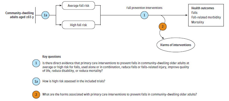 Figure 1 is an analytic framework for the key questions of the review that depicts the effect of fall prevention interventions on  falls, fall-related morbidity, and fall-related mortality (and subsequent harms) for average- and high-risk community-dwelling adults age 65 years or older.