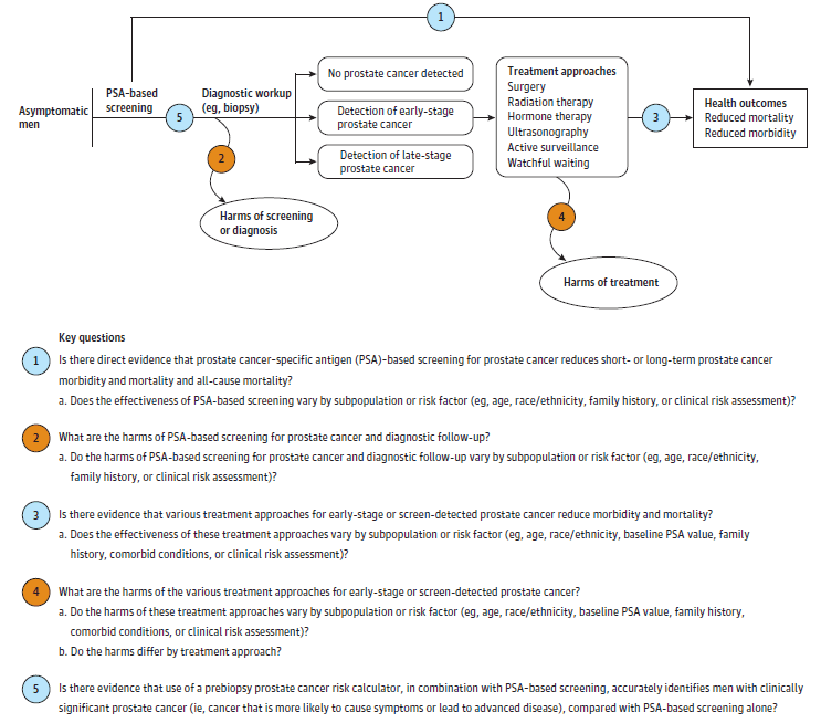 Figure 1 is the analytic framework that depicts the five Key Questions that guided the systematic evidence review. In general, the figure illustrates how PSA-based screening for prostate cancer in asymptomatic men may identify men with potentially early-stage prostate cancer who need to undergo additional diagnostic followup (i.e., needle biopsy of the prostate), the effectiveness and performance of prebiopsy risk calculators, and how screening may lead to improved outcomes or potential harms. In addition, the framework examines the efficacy of the range of treatments and any potential harms of those treatments