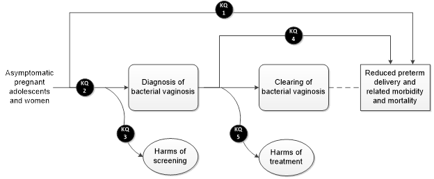 This figure is the analytic framework depicting the five key questions and the research approach that will guide the evidence review outlined in this research plan. In general, the figure illustrates the overarching and first key question of whether screening for bacterial vaginosis leads to reduced preterm delivery and related morbidity and mortality outcomes. The framework starts on the left and follows the intervention pathway for the population of interest, namely asymptomatic pregnant adolescents and women. Moving from left to right, the second key question examines the effect of screening on the diagnosis of bacterial vaginosis, and the third evaluates whether any harms result from such screening. The fourth key question examines whether treating bacterial vaginosis leads to reduced preterm delivery and related morbidity and mortality outcomes, and the fifth evaluates whether any harms result from such treatment.