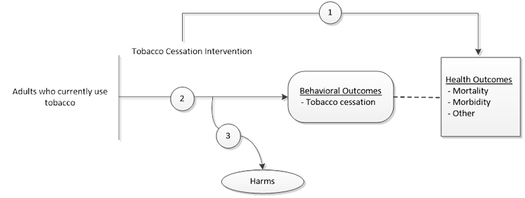 Figure 1 is an analytic framework for the key questions of this research plan that depicts the effect of tobacco cessation interventions on tobacco cessation, morbidity, and mortality (and subsequent harms) for adults who currently use tobacco.