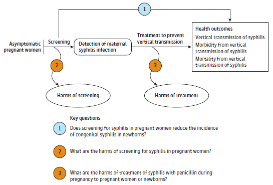 Figure 2 is the analytic framework that depicts the three Key Questions addressed in the systematic review. The figure illustrates the overarching question addressing the effectiveness of screening for syphilis in pregnant women (KQ1) and its relationship to the two additional questions addressing the harms of screening for syphilis in pregnant women (KQ2) and the harms of treatment of syphilis with penicillin during pregnancy (KQ3).