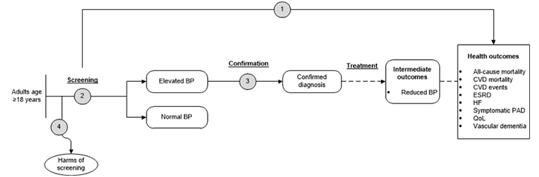 Figure 1 is the analytic framework that depicts the four Key Questions to be addressed in the systematic review. The figure illustrates how primary care screening for high blood pressure in adults may result in improved health outcomes, including all-cause mortality, cardiovascular disease mortality and events, heart failure, end-stage renal disease, symptomatic peripheral arterial disease, quality of life, and vascular dementia (KQ1). Additionally, the figure illustrates the accuracy of office-based blood pressure measurements in an initial screening for high blood pressure compared with the reference standard (ambulatory blood pressure measurement) (KQ2), and the accuracy of confirmatory blood pressure measurements in adults who initially screen positive for high blood pressure compared with the reference standard (KQ3). Lastly, the figure illustrates what harms may be associated with screening for high blood pressure in adults (KQ4).