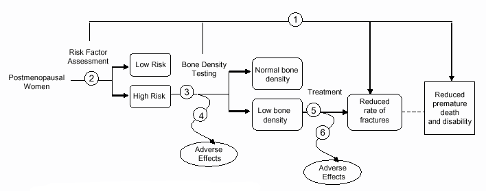 Analytic frame work showing flow of key questions: Arrow 1: Does screening using risk factor assessment and/or bone density testing reduce fractures? Arrow 2: Does risk factor assessment accurately identify women who may benefit from bone density testing? Arrow 3: Do bone density measurements accurately identify women who may benefit from treatment? Arrow 4: What are the harms of screening? Arrow 5: Does treatment reduce the risk of fractures in women identify by screening? Arrow 6: What are the harms of treatment?