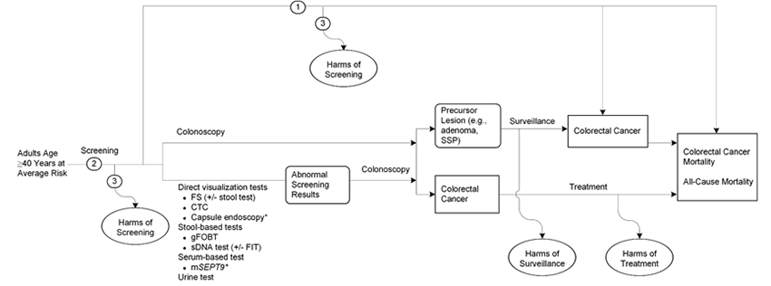 Figure 1 is the analytic framework that depicts the three Key Questions to be addressed in the systematic review. The figure illustrates how screening for colorectal cancer in adults age 40 years or older may result in a decrease in colorectal cancer incidence, colorectal cancer mortality, or all-cause mortality (Key Question 1). There is also a question related to the accuracy of screening tests used to detect colorectal cancer or adenomatous polyps (Key Question 2) and potential harms of screening (Key Question 3).
