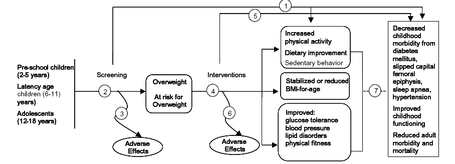The analytic framework diagram starts with a three-item list: pre-school children (2-5 years), latency age children (6-11 years), and adolescents (12-18 years). The arrow goes to "screening" where it branches to arrow 1 and arrow 2. Arrow 1 is "Is there direct evidence that screening (and intervention) for overweight in childhood improves age appropriate behavioral or physiologic measures, or health outcomes?" Arrow 2 is a) "What are appropriate standards for overweight in childhood and what is the prevalence of overweight based on these?," b) "What clinical screening tests for overweight in childhood are reliable and valid in predicting poor health outcomes in adulthood?" and c) "What clinical screening tests for overweight in childhood are reliable and valid in predicting poor health outcomes in adulthood?"  Arrow 1 goes directly to the end of the diagram on the far right, to "decreased childhood morbidity from diabetes mellitus, slipped capital femoral epiphysis, sleep apnea, hypertension," "improved childhood functioning," and "reduced adult morbidity and mortality." Arrow 2 forks. One fork goes to arrow 3 ("What are the adverse effects of screening, including labeling? Is screening acceptable to patients?") The other fork goes to "overweight" and "at risk for overweight" and proceeds to arrow 4: "Do weight control interventions (behavioral counseling, pharmacotherapy, surgery) lead to improved intermediate outcomes, including behavioral, physiologic, or weight-related measures?" a) "What are common behavioral and health system elements of efficacious interventions?" and b) "Are there differences in efficacy between patient subgroups?"  Arrow 4 forks in three directions. One fork goes to arrow 6: "What are the adverse effects of interventions? Are interventions acceptable to patients?"  The second fork goes to Arrow 5: "Do weight control interventions lead to improved health outcomes, including decreased morbidity, and/or improved functioning (school attendance, self esteem, and other psychosocial indicators?" then directly to "decreased childhood morbidity from diabetes mellitus, slipped capital femoral epiphysis, sleep apnea, hypertension," "improved childhood functioning," and "reduced adult morbidity and mortality."  The third fork goes to "increased physical activity, dietary improvement, sedentary behavior," "stabilized or reduced BMI-for-age" and "improved glucose tolerance, blood pressure, lipid disorders, and physical fitness." From there, the arrow proceeds to arrow 7, shown as a dotted line: "Are improvements in intermediate outcomes associated with improved health outcomes? (Only evaluated if there is no direct evidence for arrow 1 or arrow 5 and if there is sufficient evidence for arrow 4)." This arrow continues to "decreased childhood morbidity from diabetes mellitus, slipped capital femoral epiphysis, sleep apnea, hypertension," "improved childhood functioning," and "reduced adult morbidity and mortality."