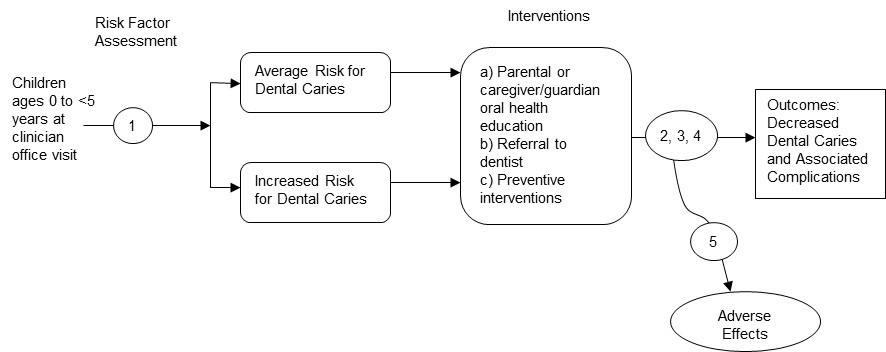 This figure is an analytic framework that depicts the events that children younger than age 5 years may experience during a clinician visit. The figure shows that children may undergo a risk factor assessment, which may cause adverse effects. This will lead to them being identified at either average risk or increased risk for dental caries. Children at either risk level may experience the following interventions: parental or caregiver/guardian oral health education; referral to a dentist; or preventive interventions, which may cause adverse effects. The outcomes of interest for  children at either risk level are decreased dental caries and associated complications. 