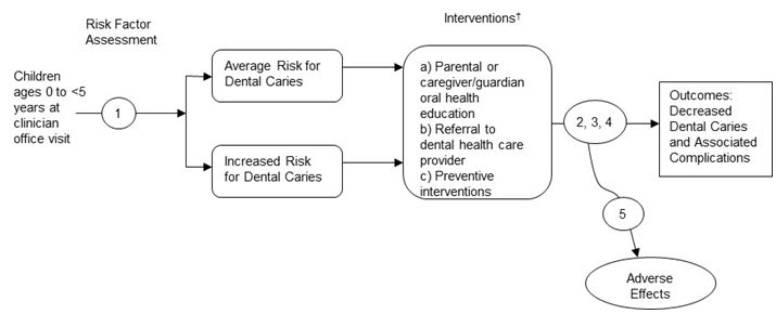 This figure is an analytic framework that depicts the events that children ages 0 to less than 5 years may experience during a clinician office visit.  The figure shows that children may undergo a risk factor assessment.  This will lead to them being identified at either average risk for dental caries or at increased risk for dental caries.  Children at either risk level may experience the following interventions, which it is noted are provided to children without caries: parental or caregiver/guardian oral health education; referral to a dental health care provider; or preventive interventions, any of which may cause adverse effects.  The outcomes of interest for  children at either risk level are decreased dental caries and associated complications. 