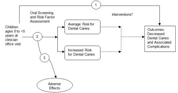 This figure is an analytic framework that depicts the events that children ages 0 to less than 5 years may experience during a clinician office visit.  The figure shows that children may undergo an oral screening and risk factor assessment, which may cause adverse effects.  This leads them to being identified at either average risk for dental caries or at increased risk for dental caries.  Children at either risk level may experience interventions. It is noted that interventions are provided to children found to have caries on screening, which is not addressed in this analytic framework. The outcomes of interest for children at either risk level are decreased dental caries and associated complications.