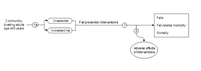 Figure 1 is the analytic framework that depicts the two Key Questions to be addressed in the systematic review. The figure illustrates how interventions to prevent falls for community-dwelling older adults (age 65 years or older) who are unselected or at increased risk may have an impact on falls, fall-related morbidity, or mortality (key question 1) and adverse effects (key question 2).