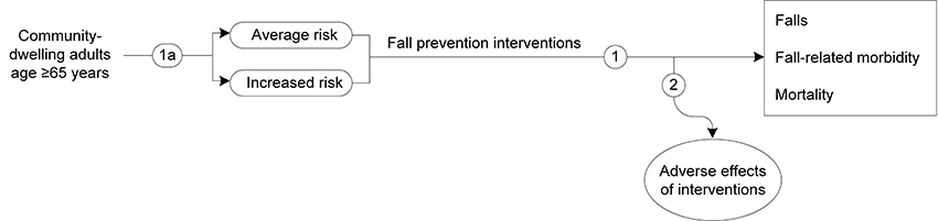 Figure 1 is the analytic framework that depicts the two Key Questions to be addressed in the systematic review. The figure illustrates how interventions to prevent falls for community-dwelling older adults (age 65 years or older) may have an impact on falls, fall-related morbidity, mortality (key question 1), and adverse effects (key question 2).