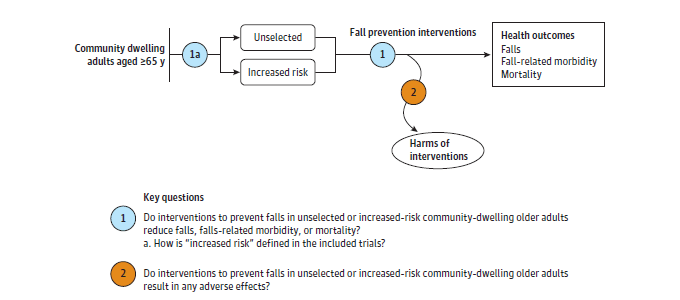 Figure 1 is the analytic framework that depicts the two Key Questions to be addressed in the systematic review. The figure illustrates how fall prevention in community-dwelling older adults age 65 years or older unselected or at increased risk for falls (Key Question 1a) may result in a decrease in falls, fall-related morbidity, and/or all-cause mortality (Key Question 1). There is also a question related to adverse effects of screening (Key Question 2).