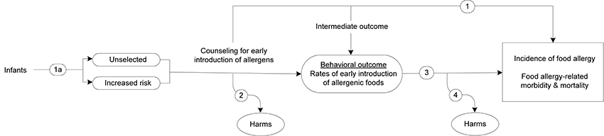 Figure 1 is the analytic framework that depicts the four Key Questions to be addressed in the systematic review. The figure illustrates how counseling interventions for the early introduction of food allergens in unselected or increased-risk infants increase rates of early allergen intake and/or reduce food allergy and food allergy–related morbidity and mortality (Key Question 1), along with any related harms (Key Question 2). The figure also shows whether the early introduction of allergenic foods in unselected or increased-risk infants reduces food allergy and/or food allergy–related morbidity and mortality (Key Question 3), along with any related harms (Key Question 4).