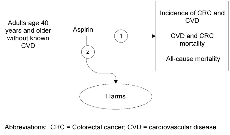 Figure 1 is the analytic framework that depicts the two Key Questions to be addressed in the systematic review. The figure illustrates how regular aspirin use in patients without known cardiovascular disease (CVD) may reduce CVD- and colorectal cancer (CRC) incidence and mortality, or all-cause mortality  (KQ1). Additionally, the figure depicts the posibility that regular aspirin use increases the incidence of major gastrointestinal bleeding, intracranial bleeding, or other serious harms (KQ2).