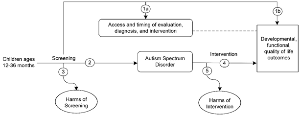 Figure 1 is the analytic framework that depicts the five Key Questions to be addressed in the systematic review. The figure illustrates how screening for autism spectrum disorder in children ages 12-36 months may result in improved intermediate outcomes (access and timing of evaluation, diagnosis, and interventions) and health outcomes (developmental, functional, and quality of life outcomes) (Key Question 1). There is also a question related to the accuracy of screening instruments used to detect autism spectrum disorder (Key Question 2) and potential harms of screening (Key Question 3). The figure also illustrates that interventions for autism spectrum disorder may have an impact on health outcomes (developmental, functional, and quality of life outcomes) (Key Question 4) and whether these interventions result in any harms (Key Question 5).