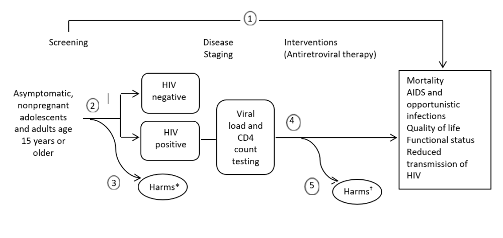 The analytic framework shows the relationship between screening, interventions, outcomes, and harms for the topic: screening for HIV in asymptomatic, nonpregnant adolescents and adults. The far left of the framework describes the target population as asymptomatic, nonpregnant adolescents and adults age 15 years or older. To the right of the population is screening, and the yield of repeat versus one-time screening (key question 2), from which arrows lead to either HIV-positive or HIV-negative boxes along the pathway, and from the HIV-positive box, an arrow leads to disease staging with viral load and CD4 count testing, followed by interventions (antiretroviral therapies) and their effect on the health outcomes of mortality, AIDS and opportunistic infections, quality of life, functional status, and reduced transmission of HIV (key question 4). Offshoot arrows assess potential harms of screening (key question 3) and potential harms of treatment (key question 5). An overarching arrow leads directly from screening to the clinical health outcomes, representing the effects of screening on those outcomes (key question 1).