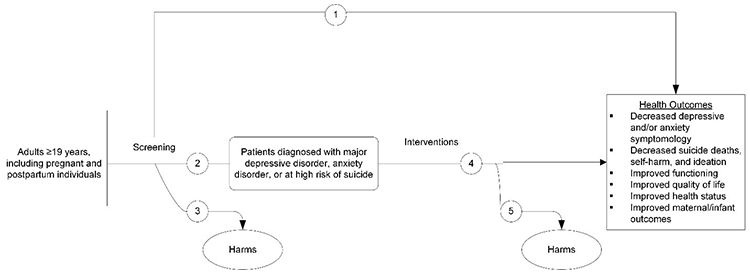 Figure 1 is the analytic framework that depicts the five Key Questions to be addressed in the systematic review. The figure illustrates how primary care screening and/or treatment for depression, anxiety, and/or suicide risk in adults aged 19 years or older, including pregnant and postpartum individuals, may result in improved health outcomes (decreased depressive and/or anxiety symptomology, decreased suicide deaths, self-harm and ideation, improved functioning, improved quality of life, improved health status, and improved materanal/infant outcomes) (Key Questions 1 and 4). There is also a question related to the accuracy of screening instruments used to detect depression, anxiety, and/or suicide risk (Key Quesion 2). Lastly, the figure illustrates what harms may be associated with screening for and/or treatment of depresssion, anxiety, and/or suicide risk in adults aged 19 years or older, including pregnant and postpartum individuals (Key Questions 3 and 5).