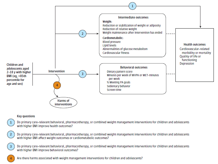 Figure 1 is an analytic framework that depicts four Key Questions to be addressed in the systematic review. The figure illustrates how primary care–relevant behavioral and/or pharmacotherapy weight management interventions for children and adolescents with higher body mass index (BMI) (e.g., >85th percentile for age and sex) improve health outcomes (Key Question 1), and whether primary care–relevant behavioral and/or pharmacotherapy weight management interventions for children and adolescents with higher BMI affect weight outcomes or cardiometabolic outcomes (Key Question 2). Additionally, the figure addresses whether primary care–relevant behavioral and/or pharmacotherapy weight management interventions for children and adolescents with higher BMI improve behavioral outcomes (Key Question 3), and if weight management interventions for children and adolescents may result in any harms (Key Question 4).