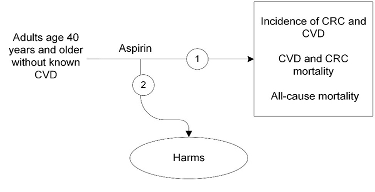 Figure 1 is the analytic framework that depicts the two Key Questions to be addressed in the systematic review. The figure illustrates how regular aspirin use in patients without known cardiovascular disease (CVD) may reduce CVD- and colorectal cancer (CRC) incidence and mortality, or all-cause mortality  (KQ1). Additionally, the figure depicts the posibility that regular aspirin use increases the incidence of major gastrointestinal bleeding, intracranial bleeding, or other serious harms (KQ2).