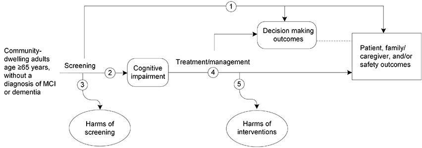 Figure 1 is the analytic framework that depicts the five Key Questions to be addressed in the systematic review. The figure illustrates how screening for cognitive impairment in adults age 65 years or older may result in improved intermediate outcomes (decision making) and health outcomes (patient, family/caregiver, and safety outcomes) (Key Question 1). There is also a question related to the accuracy of screening instruments used to detect cognitive impairment (Key Question 2) and potential harms of screening (Key Question 3). Additionally, the figure illustrates how interventions for cognitive impairment may have an impact on intermediate outcomes (decision making) and health outcomes (patient, family/caregiver, and safety outcomes) (Key Question 4) and whether these interventions result in any harms (Key Question 5).