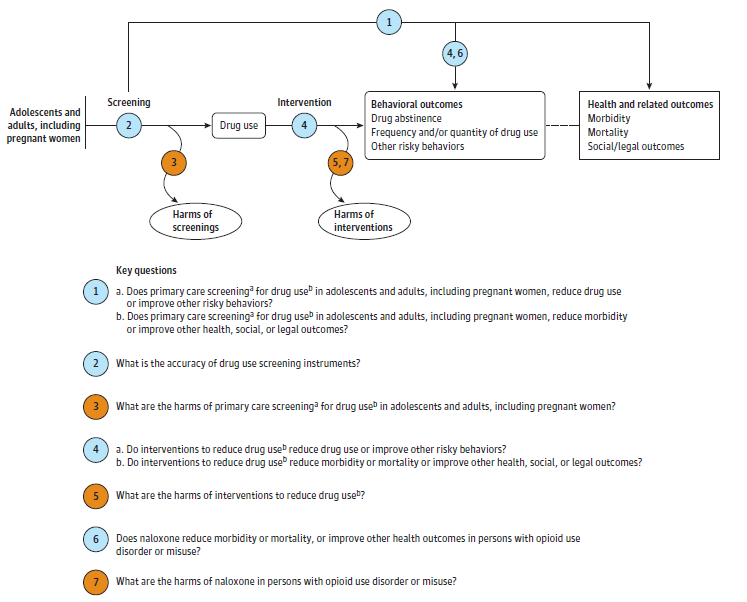 Figure 1 is the analytic framework that depicts the five Key Questions to be addressed in the systematic review. The figure illustrates how primary care screening for drug use in adolescents and adults, including pregnant women, may reduce morbidity or mortality to improve other health, social, or legal outcomes (KQ1a), and how primary care screening for drug use in adolescents and adults, including pregnant women, may reduce morbidity or mortality to improve other health, social, or legal outcomes (KQ1b). Additionally, the figure illustrates what the accuracy of commonly used instruments to screen for drug use may be (KQ2), and what adverse events may be associated with screening for drug use in adolescents and adults, including pregnant women (KQ3). Further, this figure illustrates how counseling interventions to reduce drug use, with or without referral, may reduce drug use or improve other risky behaviors in screen-detected persons (KQ4a), and how counseling interventions to reduce drug use, with or without referral, may reduce morbidity or mortality to improve other health, social, or legal outcomes in screen-detected persons (KQ4b). Finally, this figure illustrates what adverse events may be associated with interventions to reduce drug use in screen-detected persons.