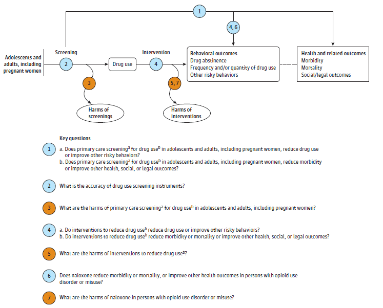 Final Evidence Summary: Unhealthy Drug Use: Screening | United States ...