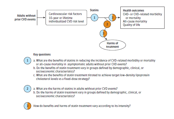 Figure 1 depicts the analytic framework, which outlines the evidence areas covered in the review, including the population, interventions and related harms, and outcomes. The population includes adults age 18 years and older without prior cardiovascular disease events. An arrow from the population leads to risk assessment, including cardiovascular risk factors and 10-year or lifetime individualized cardiovascular disease risk level. A line representing statin treatment then proceeds from risk assessment to the outcomes examined in the review, which include morbidity or mortality related to coronary heart disease or cerebrovascular accident (stroke) and all-cause mortality (Key Questions 1 and 3). A subsequent arrow from the intervention assesses resulting harms (Key Questions 2 and 3).