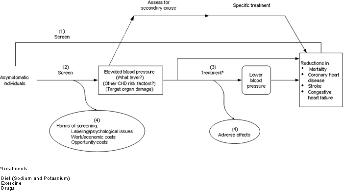 Figure 1 diagrams the analytic framework used to examine the role of outpatient clinical screening for high blood pressure in adults. The figure depicts 4 key questions that guided the researchers' literature searches and synthesis of the evidence. The questions are linked by arrows to show the chain of logic that the researchers use to progress from screening of asymptomatic individuals to defined outcomes. 