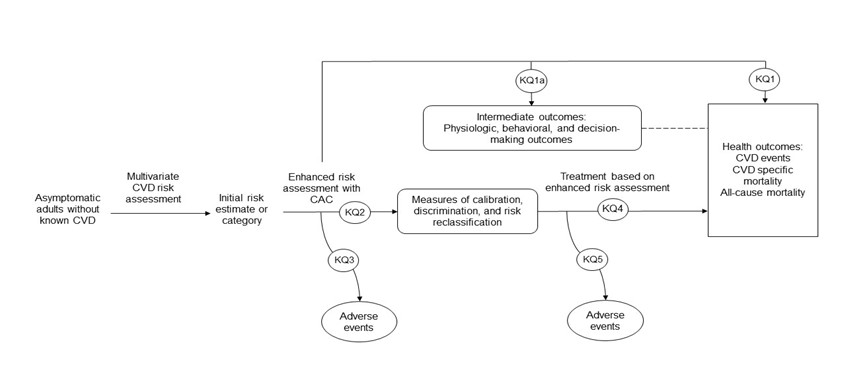 Figure 1 is the analytic framework that depicts the five Key Questions (KQs) addressed in the systematic review. The figure illustrates how enhanced risk factor assessment with coronary artery calclum (CAC) score may result in improved intermediate outcomes (decision-making, behavioral, and physiologic outcomes) (KQ1a) and health outcomes, including cardiovascular disease (CVD) events, CVD-specific mortality, and all-cause mortality (KQ1). Additionally, the figure illustrates how enhanced risk factor assessment may improve measures of calibration, discrimination, and risk reclassification (KQ2) and how treatment based on nontraditional risk factor assessment may improve health outcomes (KQ4). Further, the figure depicts whether enhanced risk factor assessment or treatment based on enhanced risk factor assessment are associated with any adverse events (KQ3 and KQ5).