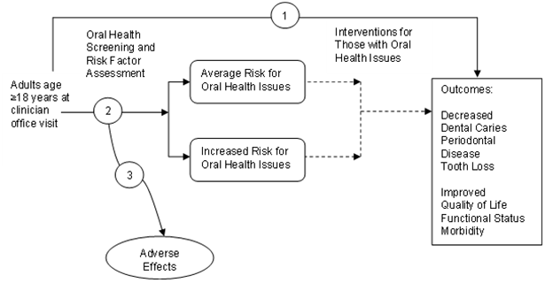The analytic framework depicts the relationship between the population, screening, interventions, outcomes, and potential harms of screening for oral health. The far left of the framework shows the target population for screening as adults age 18 years and older at a clinician office visit. To the right of the population is an arrow corresponding to key question 2, which represents the accuracy of screening and risk factor assessment. This arrow leads to those at average or increased risk for oral health issues. This step may lead to harms, which corresponds to key question 3. Arrows show that adults at either risk level may experience interventions with the aim of decreasing dental caries, periodontal disease, and tooth loss and improving quality of life, functional status, and morbidity. An overarching arrow representing key question 1 goes directly from screening to these outcomes of interest.
