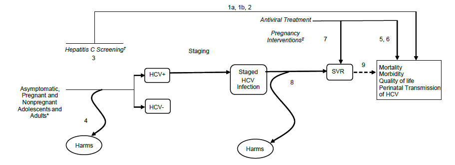 The analytic framework depicts the relationship between the populations, interventions, outcomes, and harms of screening for hepatitis C virus (HCV) infection. The far left of the framework describes the target population for screening as asymptomatic, nonpregnant and pregnant adults and adolescents. To the right of the population is a line that represents HCV screening, and the yield of new diagnoses when comparing one-time vs. repeat screening (key question 3), that leads to either HCV-positive or HCV-negative populations. A subsequent arrow indicates assessment of harms of screening (key question 4). From the HCV-positive population, an arrow leads to disease staging and, in pregnancy, represents the effectiveness of interventions in HCV-positive persons during labor and delivery or in the perinatal period on risk of vertical transmission of HCV infection (key question 5). This line also represents the effectiveness of antiviral treatment in improving mortality, morbidity, and quality of life (key question 6) and in improving the intermediate outcome of SVR rates (key question 7), as well as harms associated with antiviral treatments (key question 8). A dotted line represents the association between SVR rates and the reduction in risk of adverse health outcomes associated with HCV infection (key question 9). An overarching arrow symbolizing key question 1 spans directly from screening to the health outcomes mentioned previously. In addition, this line represents the effectiveness of different risk- or prevalence-based methods for screening for HCV infection on health outcomes (key question 2).