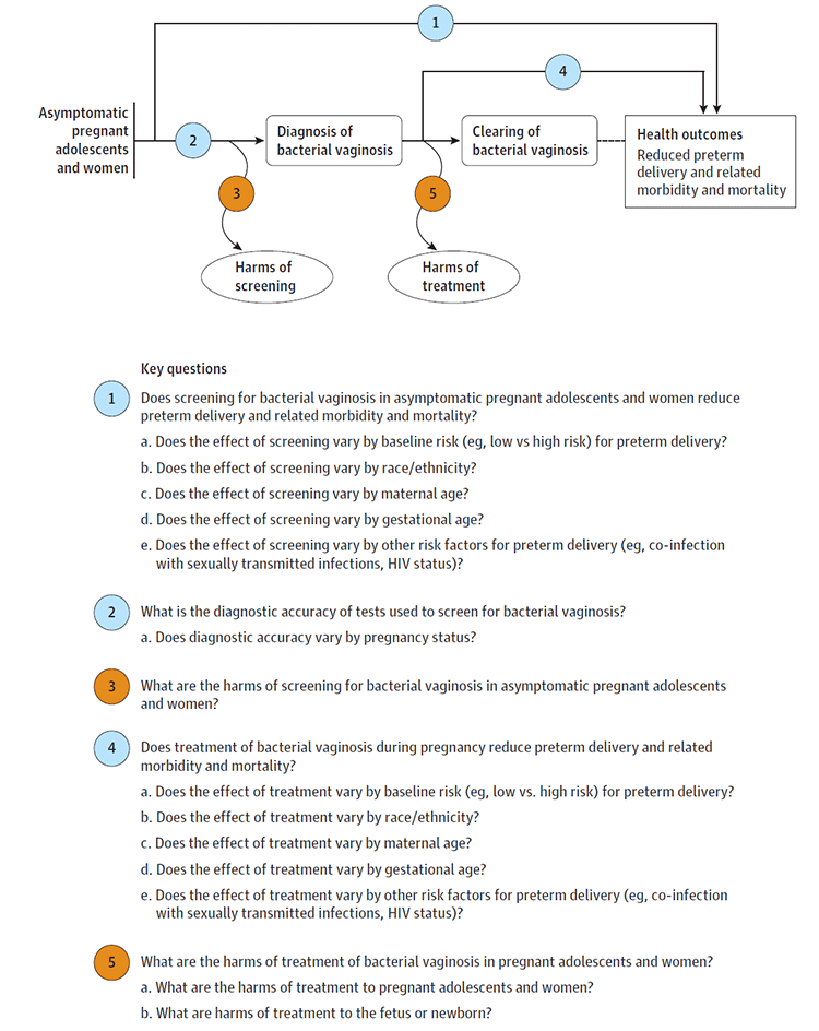 Figure 1. Analytic Framework: Screening for Bacterial Vaginosis in Pregnant Adolescents andWomen to Prevent Preterm Delivery