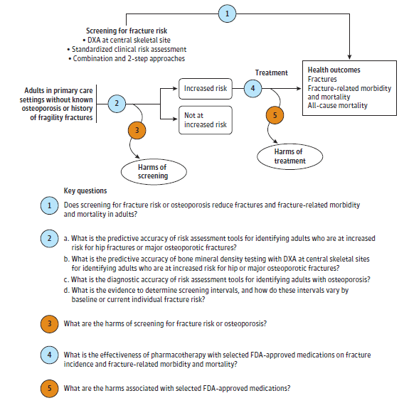 This figure is an analytic framework depicting the key questions (KQs) within the context of the populations, interventions, comparisons, outcomes, time frames, and settings (PICOTS) relative to the effectiveness and harms of screening for osteoporosis to prevent fractures. This figure illustrates the screening pathway for the population of interest, adults in primary care without a diagnosis of osteoporosis and no history of fracture. From the population on the left, an overarching arrow representing KQ 1 leads directly to the end of the pathway, represented by a box showing the outcomes investigated in the review (fractures, fracture-related morbidity and mortality, and all-cause mortality). Another arrow representing KQ 2 goes through the middle of the figure from the populations on the left to screening for fracture risk or osteoporosis (KQ 2) with selected tools. This arrow splits in to two paths for populations with either increased risk for fracture or no increased risk for fracture. Leading away from this arrow is a curved line leading to potential harms of screening (KQ 3). One of the branched pathways ends after the no increased risk box. The other pathway continues after the increased risk box to treatment (KQ 4) and a curved line leads away from this pathway to potential harms of treatment (KQ 5). This indirect pathway also ends at the outcomes box on the right of the figure.