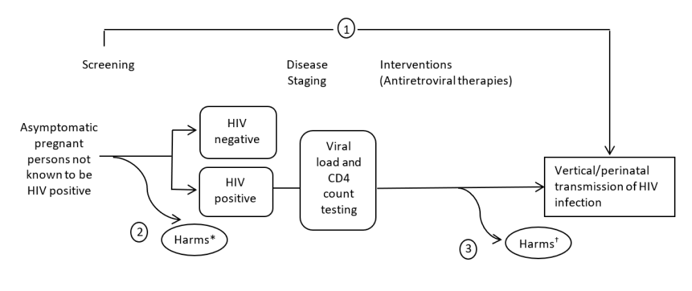 The analytic framework shows the relationship between screening, interventions, outcomes, and harms for the topic: screening for HIV in pregnant persons. The far left of the framework describes the target population as asymptomatic pregnant persons not known to be HIV positive. To the right of the population is screening, from which arrows lead to either HIV-positive or HIV-negative boxes along the pathway, and from the HIV-positive box, an arrow leads to disease staging with viral load and CD4 count testing, followed by interventions (antiretroviral therapies) and their effect on the health outcome of prevention of vertical/perinatal transmission of HIV infection. Offshoot arrows assess potential harms of screening (key question 2) and potential harms of treatment (key question 3). An overarching arrow leads directly from screening to the clinical health outcome, representing the effects of screening on that health outcome (key question 1).