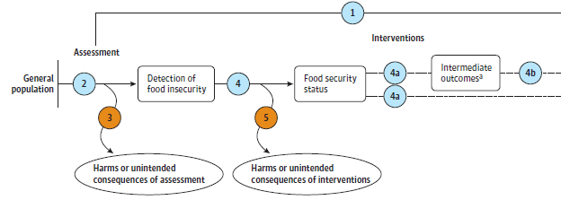 Figure 1 is the analytic framework that depicts the Key Questions addressed in the systematic review. The figure illustrates how assessment for food insecurity may impact health outcomes (KQ1), may lead to detection of food insecurity (KQ2), and may lead to harms or unintended consequences of assessment (KQ3). Additionally, the figure illustrates how interventions for food insecurity may impact health outcomes (KQ4) and have harms or unintended consequences (KQ5). Finally, the figure illustrates that food insecurity status may impact intermediate outcomes (KQ4a) or health outcomes (KQ4b), and that intermediate outcomes may also impact health outcomes (KQ4b). 