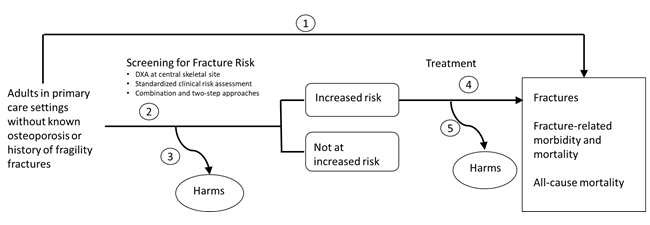 This figure is an analytic framework depicting the key questions (KQs) within the context of the populations, interventions, comparisons, outcomes, time frames, and settings (PICOTS) relative to the effectiveness and harms of screening and treatment for osteoporosis. The figure illustrates the relationship between osteoporosis for adults in primary care settings without known osteoporosis or history of fragility fractures. KQ1 concerns the direct pathway of the relationship between screening and risk assessment and reduced fracture-related morbidity and mortality. On the indirect pathway, the population is shown as being at an increased risk or not at an increased risk based on screening with DXA at a central site or standardized clinical risk assessment tools, or a two-step process using both methods (KQ2). The harms of screening are assessed for the whole population undergoing screening (KQ3). If the population is not at increased risk, the pathway stops. For those at an increased risk, the benefits (KQ 4) and harms (KQ 5) of treatment are assessed relative to fracture-related morbidity and mortality outcomes.