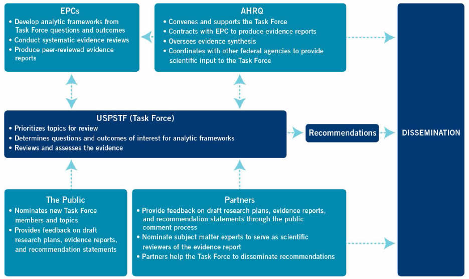 Group Roles in the Task Force's Recommendation Development and Dissemination Processes