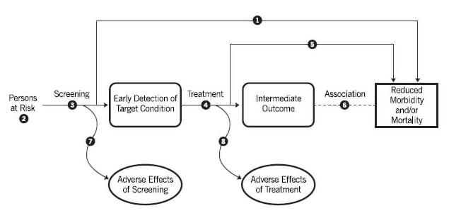 Template of an Analytic Framework