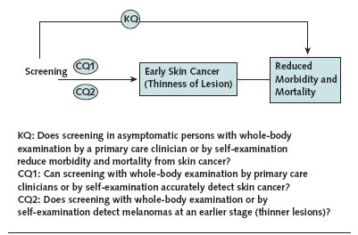 Figure depicts the analytic framework for screening for skin cancer. For details, go to [D] Text Description.